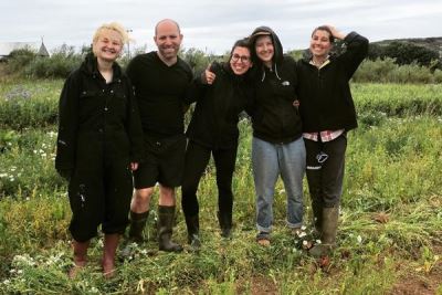 Freiwillige in der solidarischen Landwirtschaft in Wales